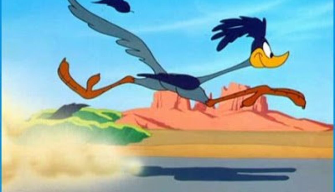 road-runner-1